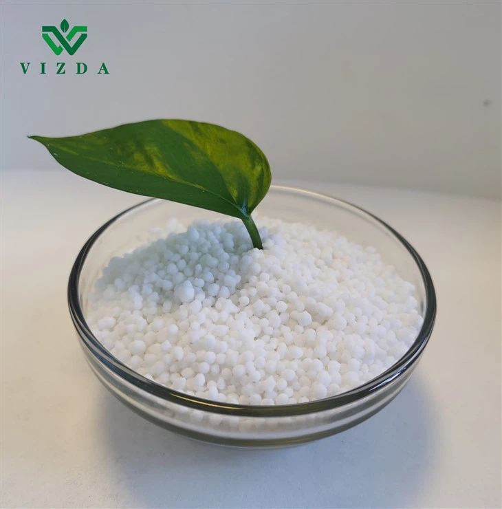 Calcium Magnesium Nitrate: A Powerful Soil Nutrient Enhancer