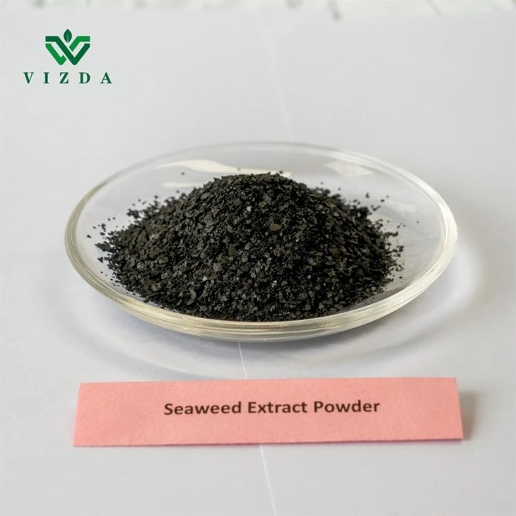 High Nutrient Fertilizer Seaweed Extract