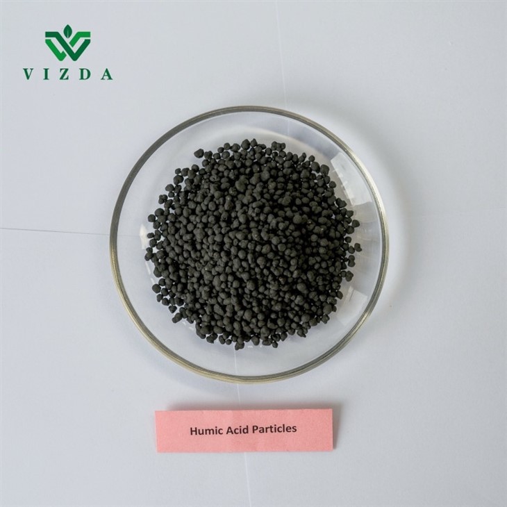 Humic Acid Black Granular Fertilizer