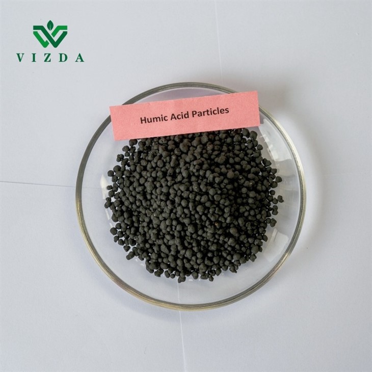 Humic Acid Black Granular Fertilizer