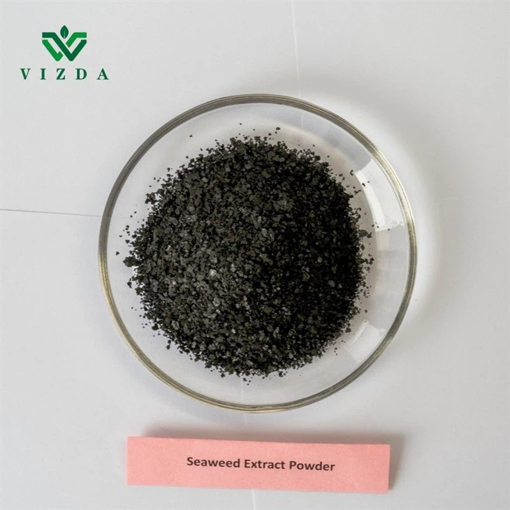 Seaweed Extract Fertilizer