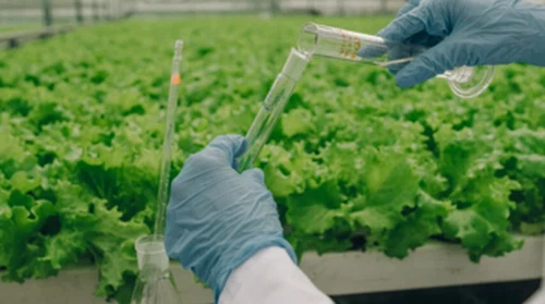 Przemysł nawozowy przechodzi w kierunku zintegrowanych systemów agronomicznyc...